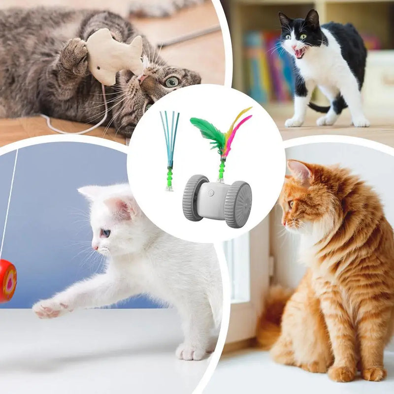 Brinquedo Automático Inteligente para Gatos – Diversão Interativa, Exercício Diário e Estímulo Mental para seu Gatinho!