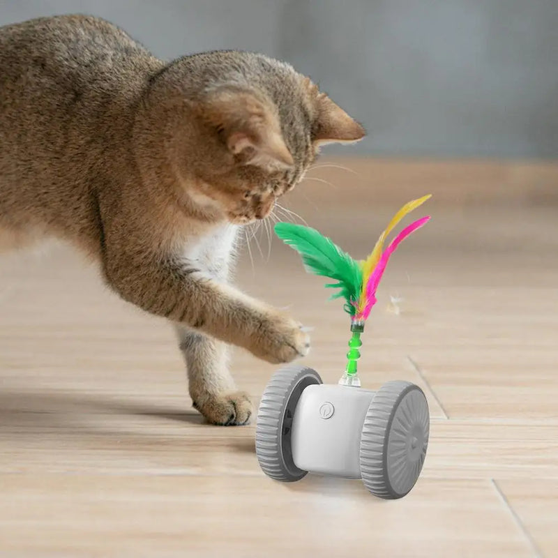 Brinquedo Automático Inteligente para Gatos – Diversão Interativa, Exercício Diário e Estímulo Mental para seu Gatinho!