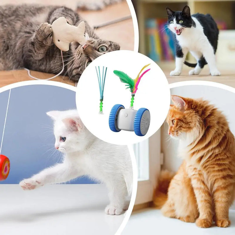 Brinquedo Automático Inteligente para Gatos – Diversão Interativa, Exercício Diário e Estímulo Mental para seu Gatinho!