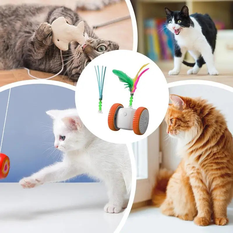 Brinquedo Automático Inteligente para Gatos – Diversão Interativa, Exercício Diário e Estímulo Mental para seu Gatinho!