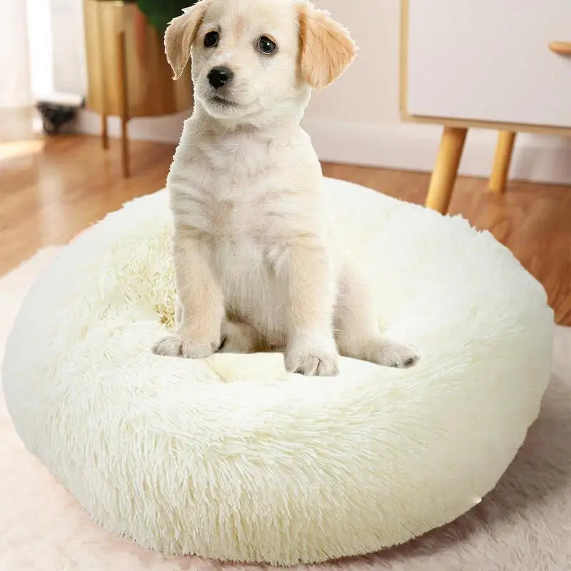 Cama Redonda de Pelúcia com Aquecimento USB – Conforto Premium para Cães e Gatos